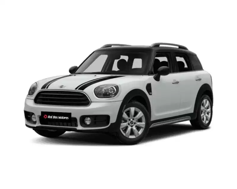 Motor MINI Cooper Countryman