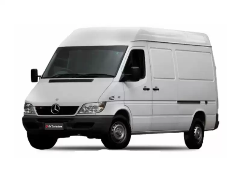 Motor Mercedes-Benz Sprinter 313