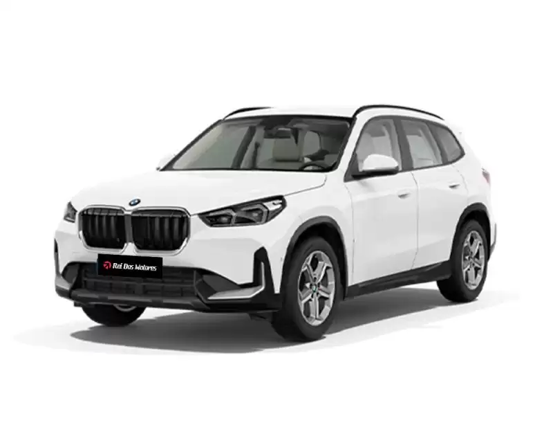 Motor BMW X1